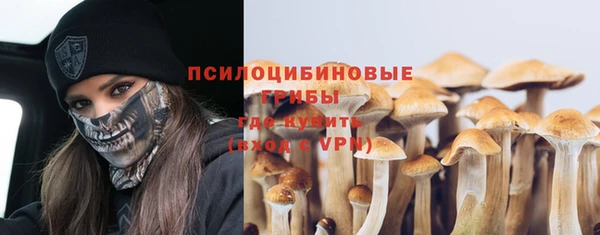 амф Аркадак