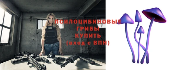 2c-b Арсеньев