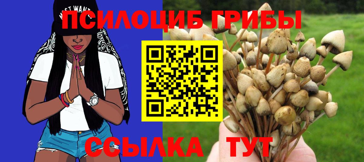 Псилоцибиновые грибы Cubensis  Вход с VPN  купить закладку  Галлюциногенные грибы Magic Shrooms  Нарьян-Мар 